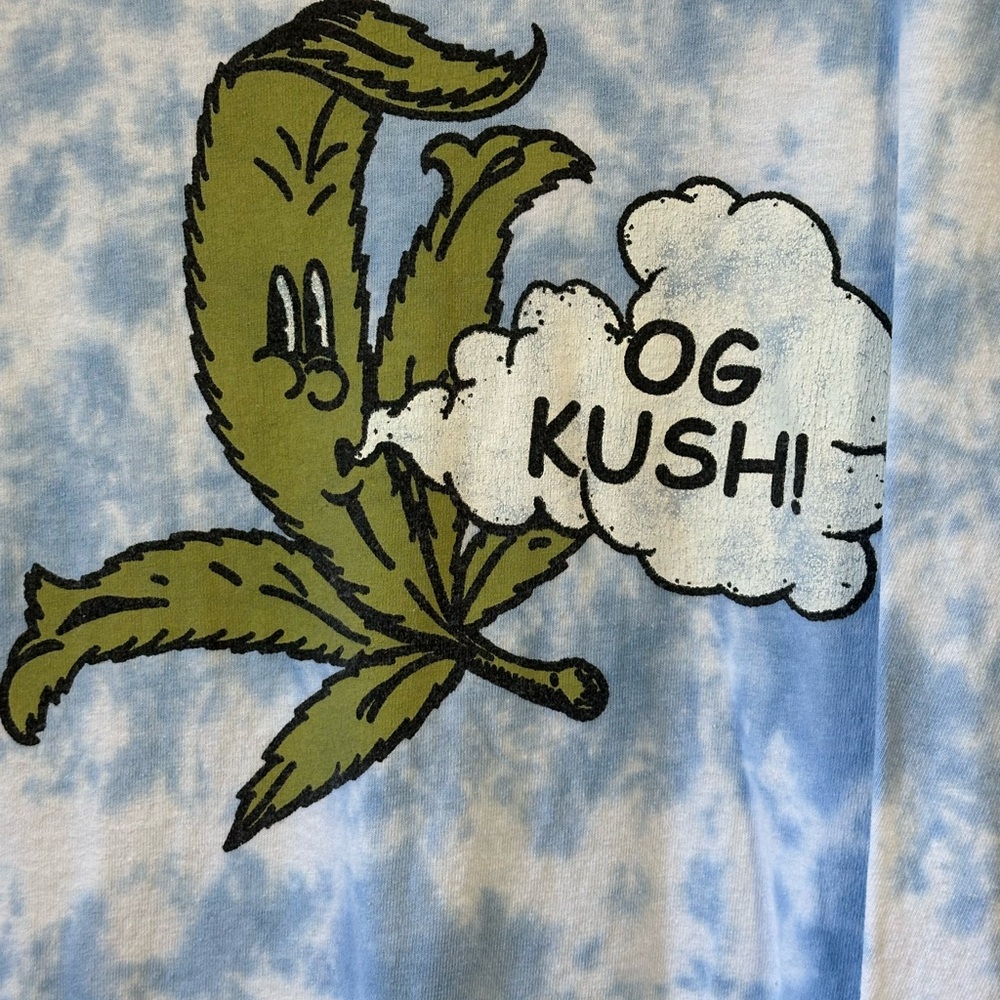 Urban Outfitter Blue And White Tee Shirt Size Unisex Large Pre Owned - Picture 3 of 6